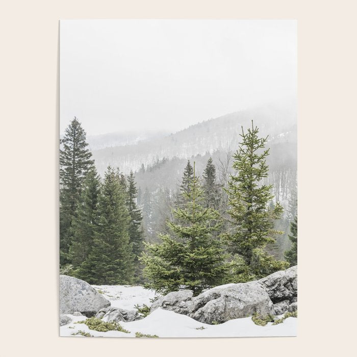 Winter Forest Landscape  Poster