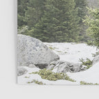 Winter Forest Landscape  Poster Gallery Image 3