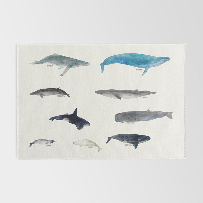 whales Rug Gallery Image 2