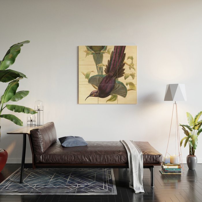 Birds-of-paradise (Epimachus Ellioti) by John Gould, 1875-1888 (benefitting the Nature Conservancy) Wood Wall Art Gallery Image 2