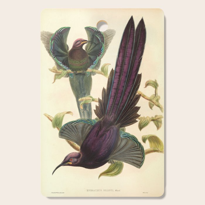 Birds-of-paradise (Epimachus Ellioti) by John Gould, 1875-1888 (benefitting the Nature Conservancy) Cutting Board Gallery Image 1