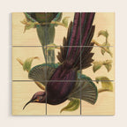 Birds-of-paradise (Epimachus Ellioti) by John Gould, 1875-1888 (benefitting the Nature Conservancy) Wood Wall Art Gallery Image 1