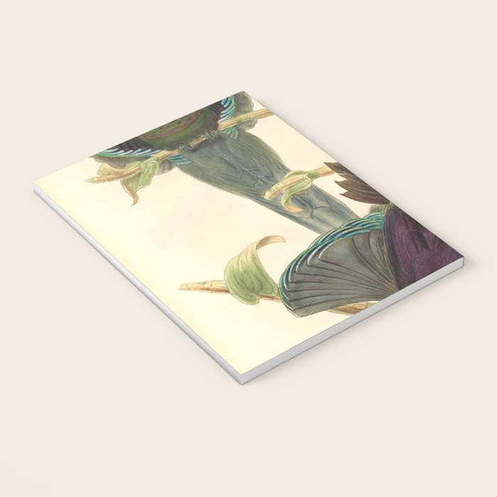 Birds-of-paradise (Epimachus Ellioti) by John Gould, 1875-1888 (benefitting the Nature Conservancy) Notebook Gallery Image 3