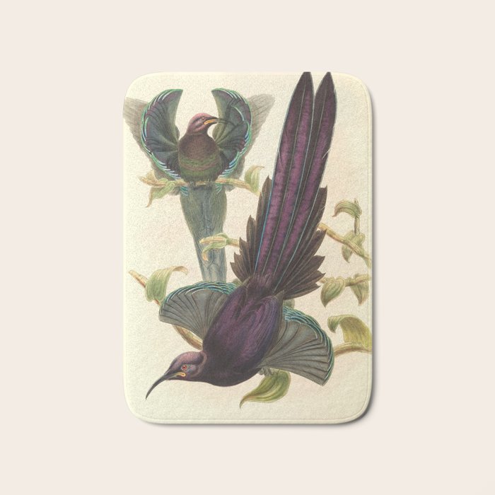 Birds-of-paradise (Epimachus Ellioti) by John Gould, 1875-1888 (benefitting the Nature Conservancy) Bath Mat Gallery Image 1