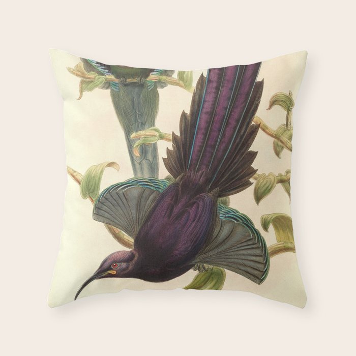 Birds-of-paradise (Epimachus Ellioti) by John Gould, 1875-1888 (benefitting the Nature Conservancy) Throw Pillow Gallery Image 1