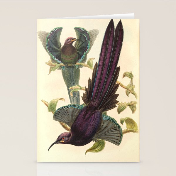 Birds-of-paradise (Epimachus Ellioti) by John Gould, 1875-1888 (benefitting the Nature Conservancy) Stationery Card Gallery Image 1
