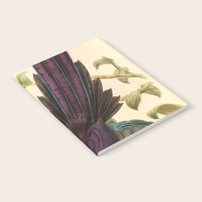 Birds-of-paradise (Epimachus Ellioti) by John Gould, 1875-1888 (benefitting the Nature Conservancy) Notebook Gallery Image 2