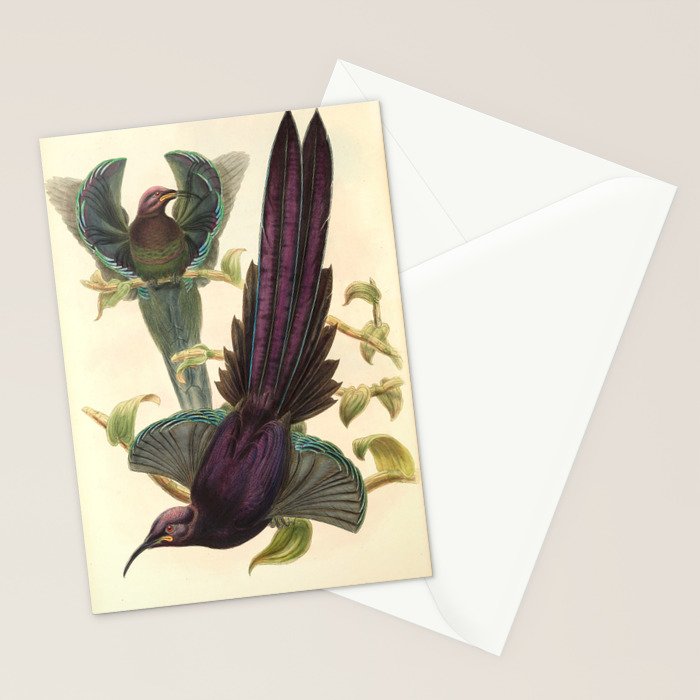 Birds-of-paradise (Epimachus Ellioti) by John Gould, 1875-1888 (benefitting the Nature Conservancy) Stationery Card Gallery Image 2