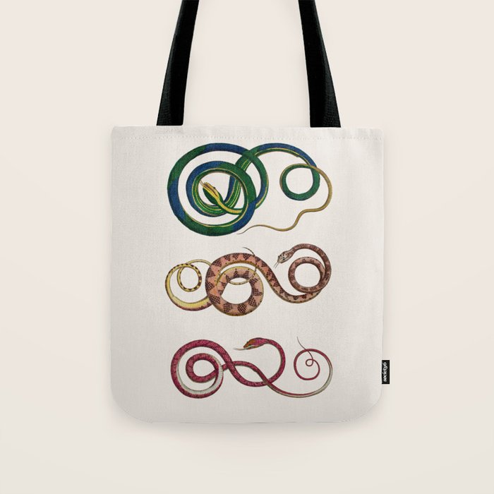 Albertus Seba Three Snakes Illustration  Tote Bag Gallery Image 1