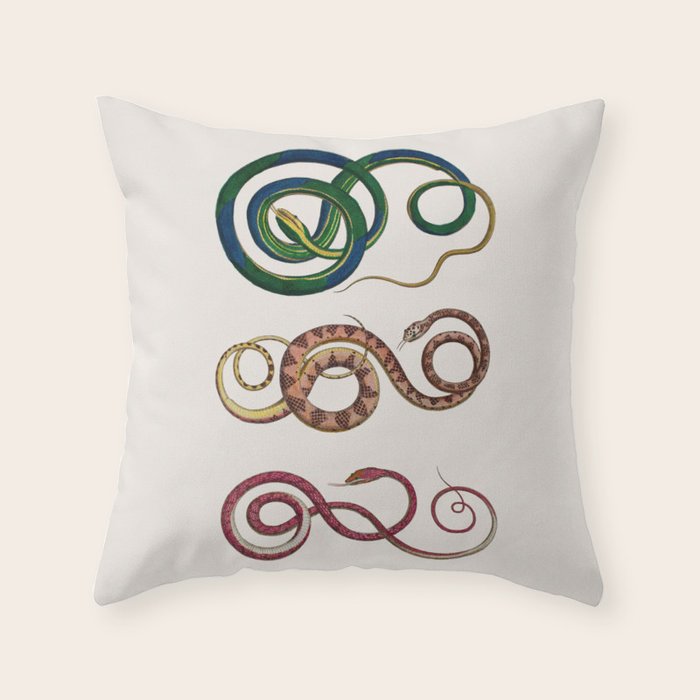 Albertus Seba Three Snakes Illustration  Throw Pillow Gallery Image 1
