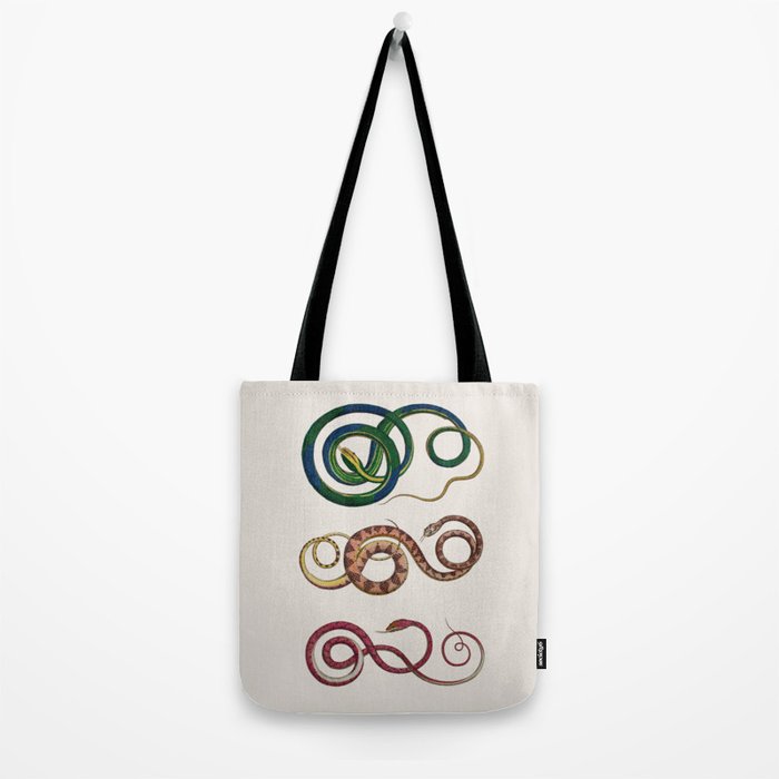 Albertus Seba Three Snakes Illustration  Tote Bag Gallery Image 2