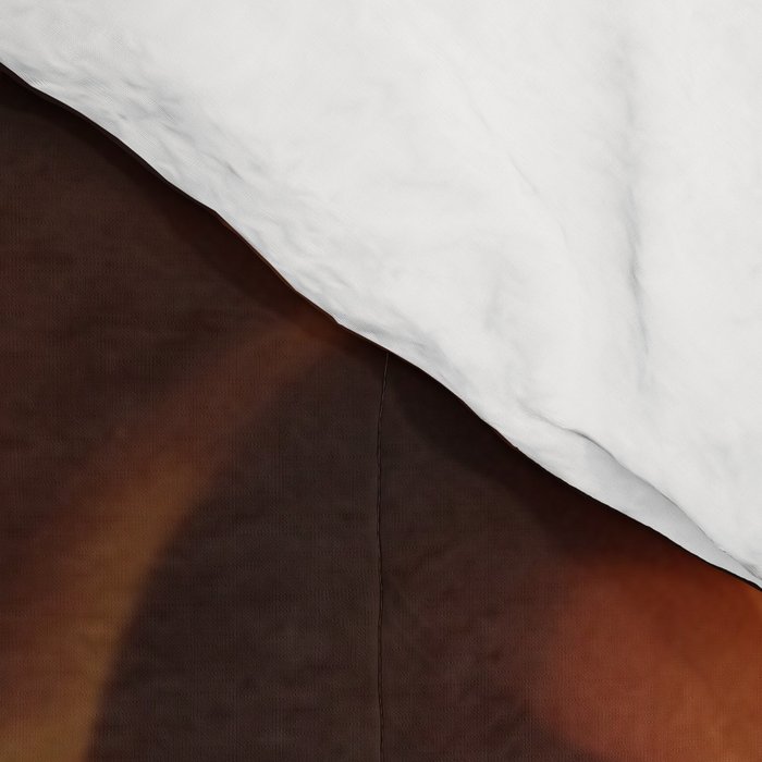 Dark Coffee Tortoiseshell Turtle Pattern Comforter Gallery Image 4