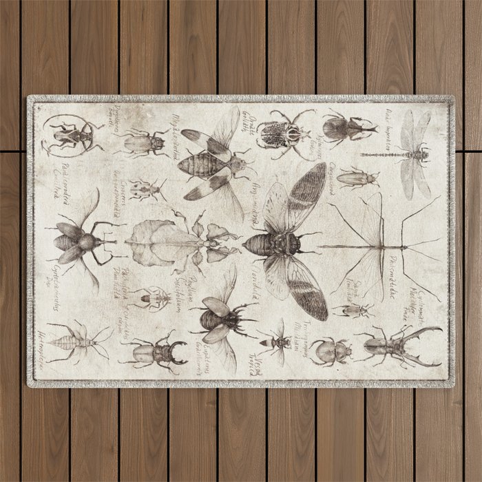 Insects Outdoor Rug Gallery Image 1