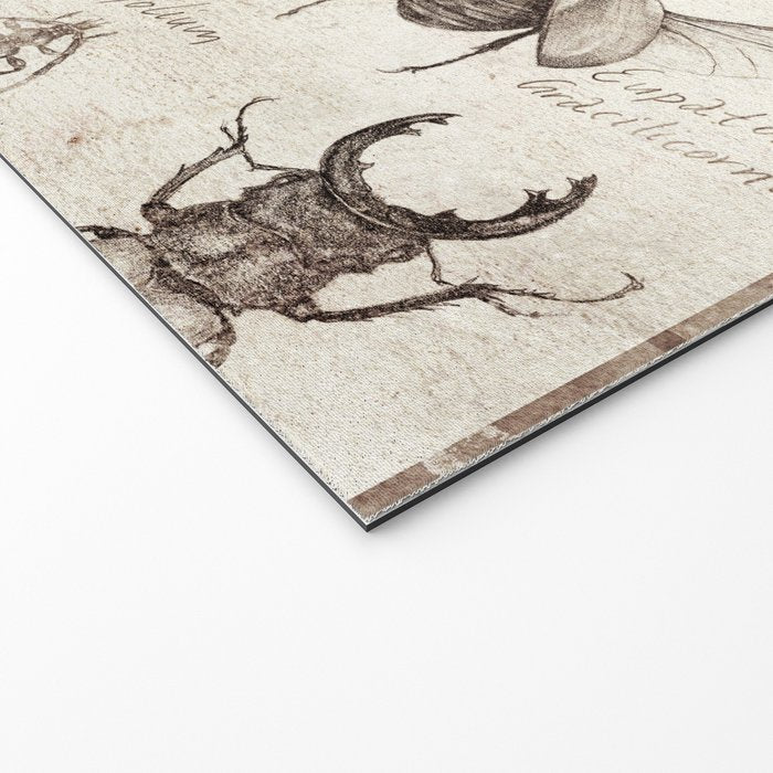 Insects Welcome Mat Gallery Image 2