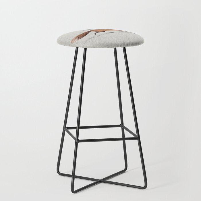 Fox & Crow - Piggyback Stool Gallery Image 1