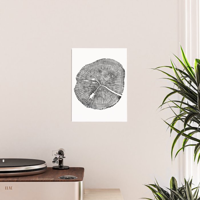 Shenandoah National Park, Oak - Tree ring ink woodblock print  Poster Gallery Image 2