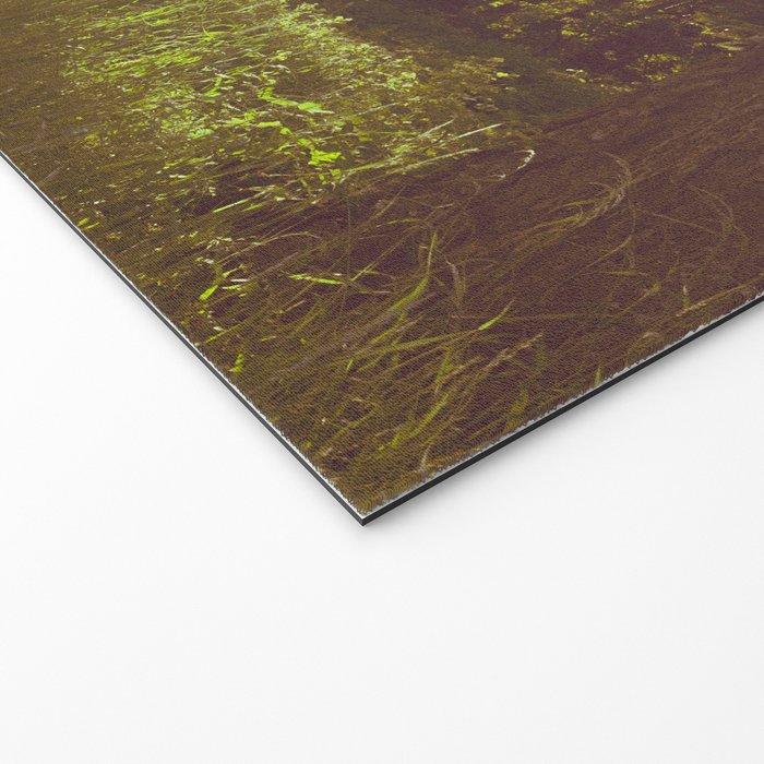 Summer Forest Sunlight - Nature Photography Welcome Mat Gallery Image 2
