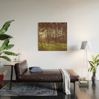 Summer Forest Sunlight - Nature Photography Wood Wall Art Gallery Image 2
