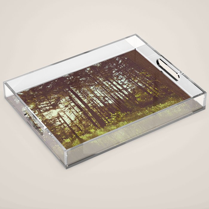 Summer Forest Sunlight - Nature Photography Acrylic Tray Gallery Image 1