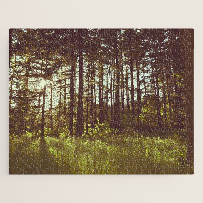 Summer Forest Sunlight - Nature Photography Jigsaw Puzzle Gallery Image 1