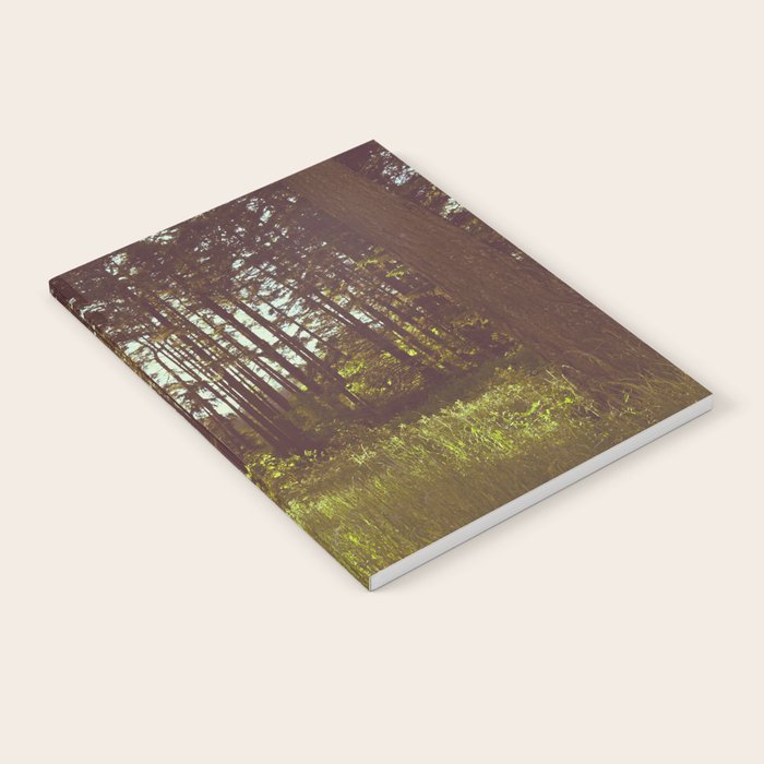 Summer Forest Sunlight - Nature Photography Notebook Gallery Image 1