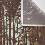 Summer Forest Sunlight - Nature Photography Wall Tapestry Gallery Image 3