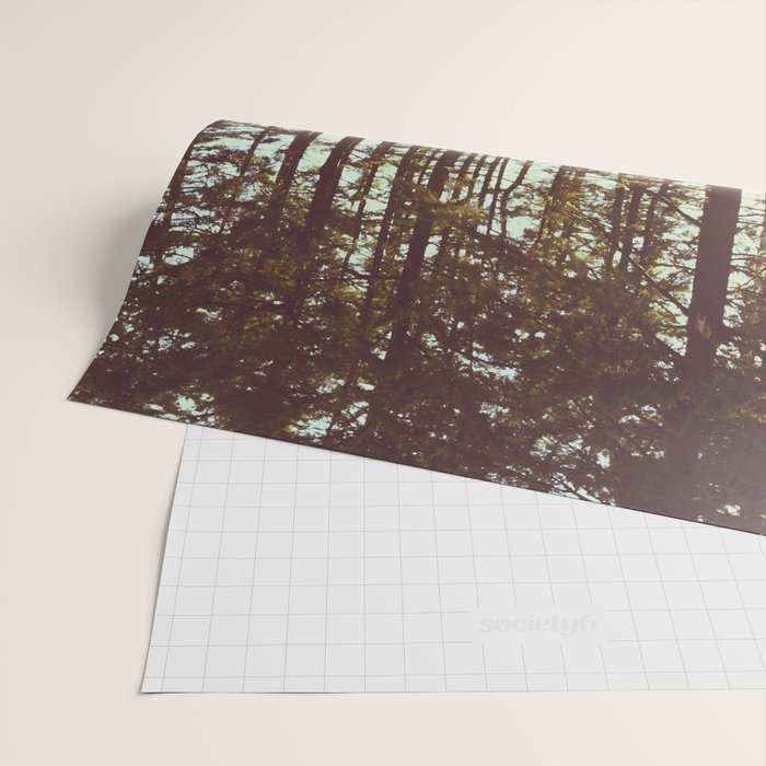 Summer Forest Sunlight - Nature Photography Wrapping Paper Gallery Image 2