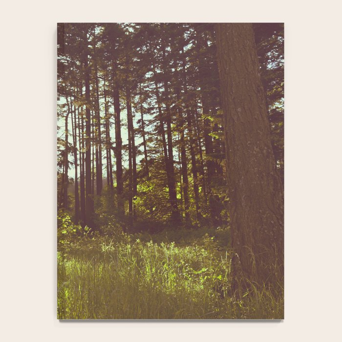 Summer Forest Sunlight - Nature Photography Notebook Gallery Image 4