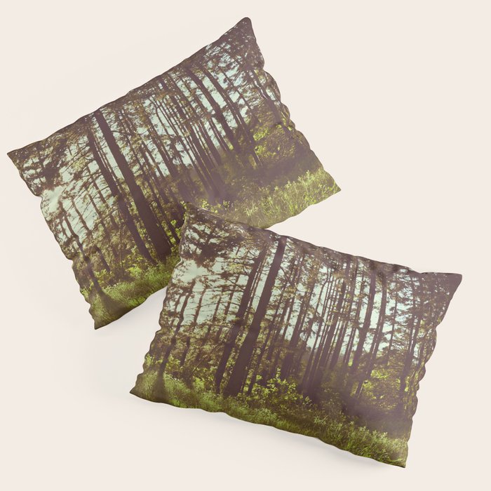 Summer Forest Sunlight - Nature Photography Pillow Sham Gallery Image 1