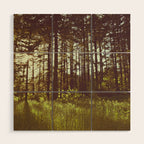 Summer Forest Sunlight - Nature Photography Wood Wall Art Gallery Image 1