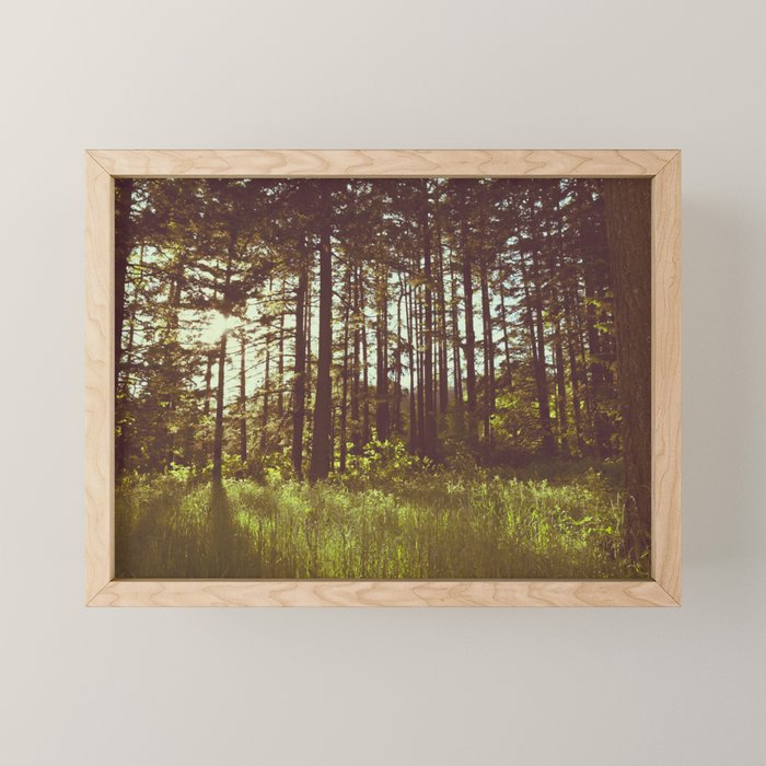 Summer Forest Sunlight - Nature Photography Mini Art Print Gallery Image 1