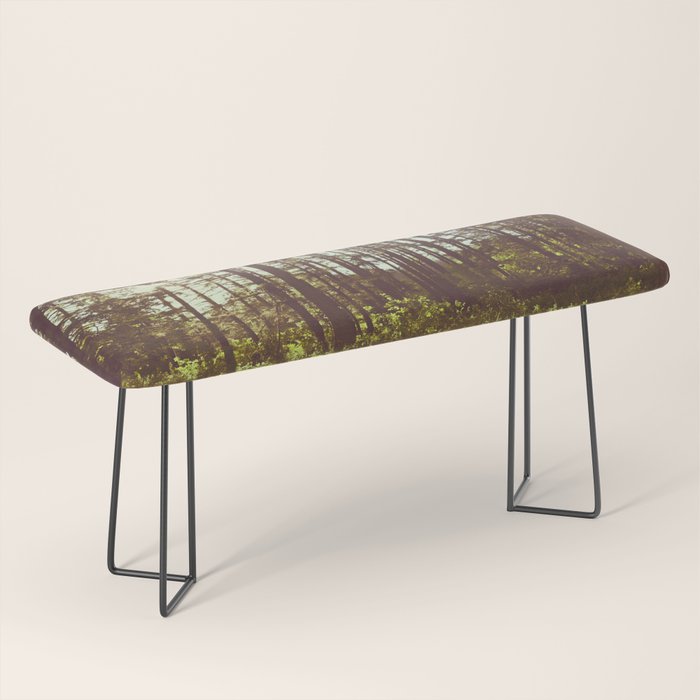 Summer Forest Sunlight - Nature Photography Bench Gallery Image 1