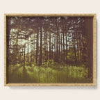 Summer Forest Sunlight - Nature Photography Serving Tray Gallery Image 1