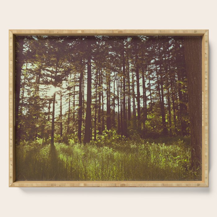 Summer Forest Sunlight - Nature Photography Serving Tray Gallery Image 1