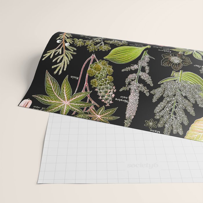 Adolphe Millot - Plantes dangereuses A (dangerous plants A) Wrapping Paper Gallery Image 2