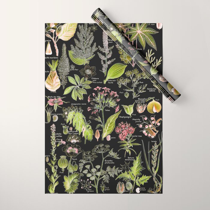 Adolphe Millot - Plantes dangereuses A (dangerous plants A) Wrapping Paper Gallery Image 1