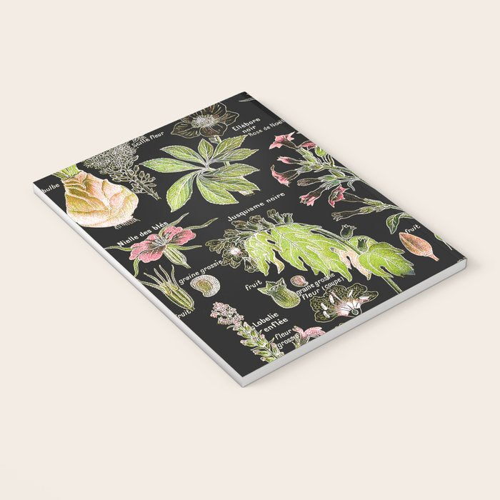 Adolphe Millot - Plantes dangereuses A (dangerous plants A) Notebook Gallery Image 3
