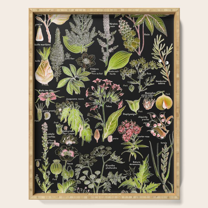Adolphe Millot - Plantes dangereuses A (dangerous plants A) Serving Tray Gallery Image 1