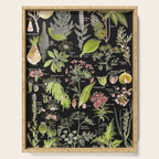 Adolphe Millot - Plantes dangereuses A (dangerous plants A) Serving Tray Gallery Image 1