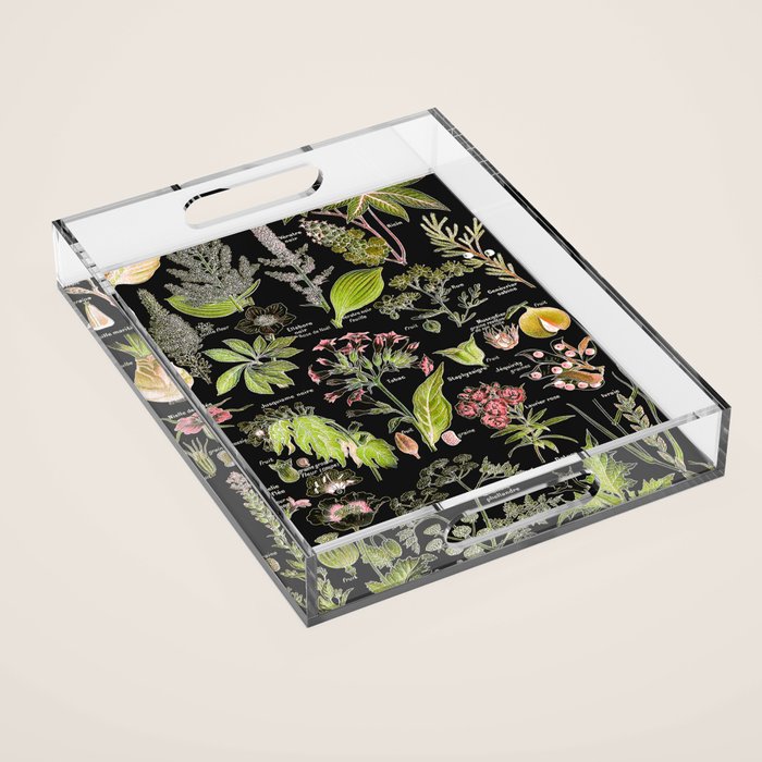 Adolphe Millot - Plantes dangereuses A (dangerous plants A) Acrylic Tray Gallery Image 1
