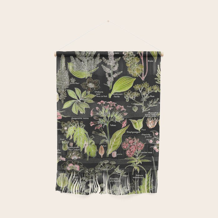 Adolphe Millot - Plantes dangereuses A (dangerous plants A) Wall Hanging Gallery Image 1