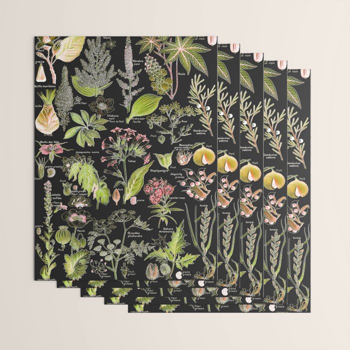 Adolphe Millot - Plantes dangereuses A (dangerous plants A) Wrapping Paper Gallery Image 3