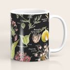 Adolphe Millot - Plantes dangereuses A (dangerous plants A) Coffee Mug Gallery Image 1