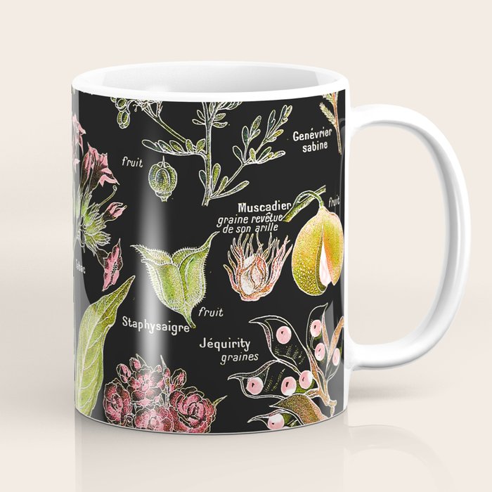 Adolphe Millot - Plantes dangereuses A (dangerous plants A) Coffee Mug Gallery Image 1