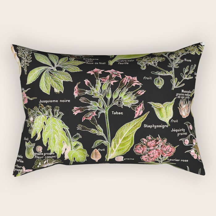 Adolphe Millot - Plantes dangereuses A (dangerous plants A) Rectangular Pillow Gallery Image 1