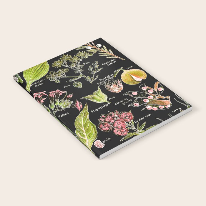 Adolphe Millot - Plantes dangereuses A (dangerous plants A) Notebook Gallery Image 1