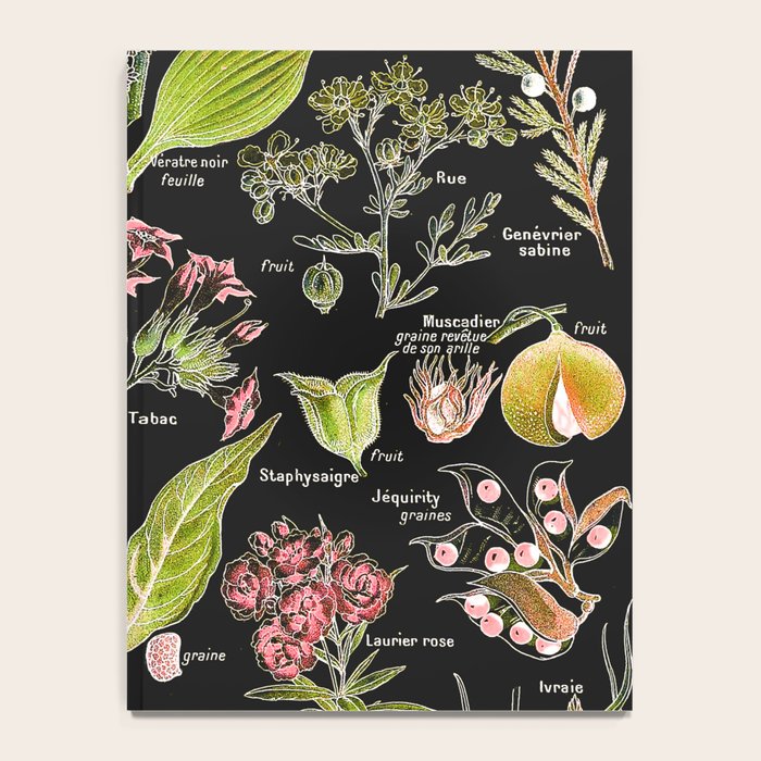 Adolphe Millot - Plantes dangereuses A (dangerous plants A) Notebook Gallery Image 4