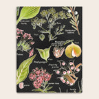 Adolphe Millot - Plantes dangereuses A (dangerous plants A) Notebook Gallery Image 4
