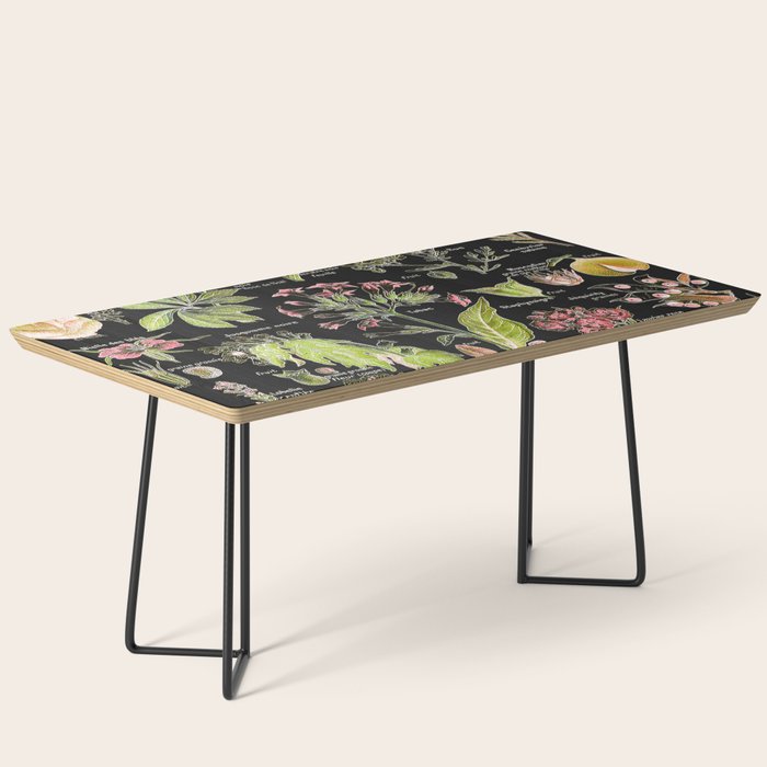 Adolphe Millot - Plantes dangereuses A (dangerous plants A) Coffee Table Gallery Image 1