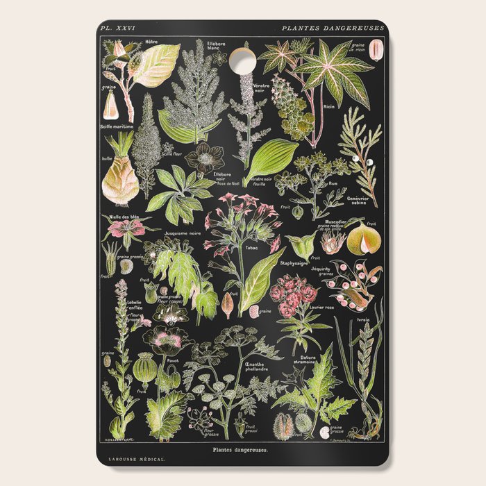 Adolphe Millot - Plantes dangereuses A (dangerous plants A) Cutting Board Gallery Image 1